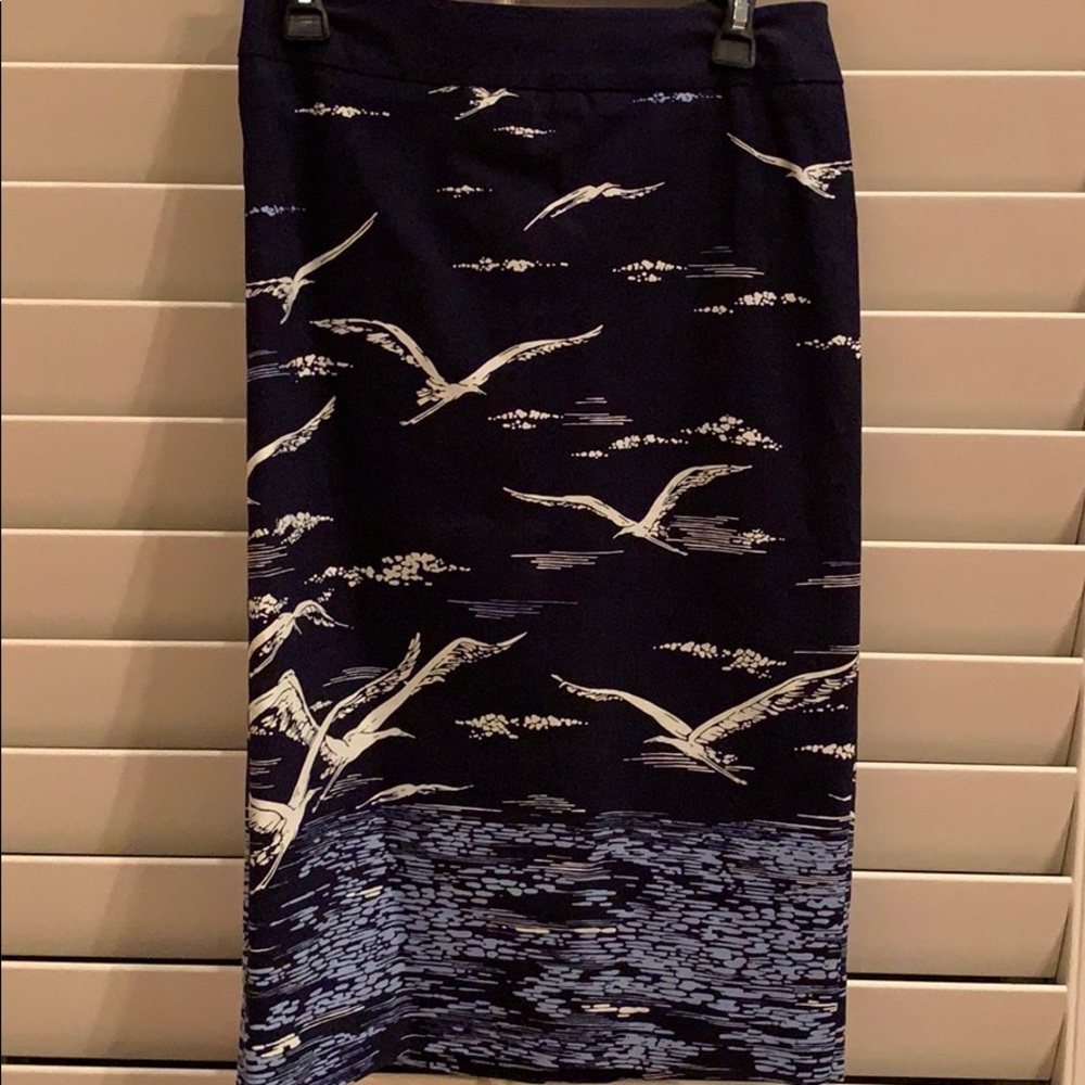 Anthropologie skirt